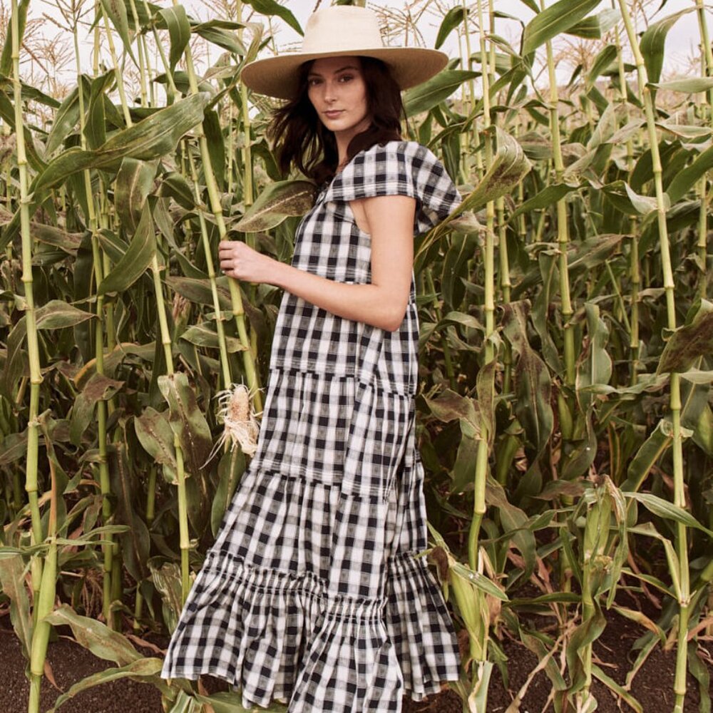 NWT The Great Navy Heart Gingham Nightingale Dress 3 (L)